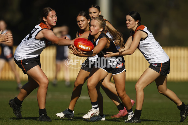 Coates Talent League Girls 2023 - Geelong v Northern Territory - A-39620773