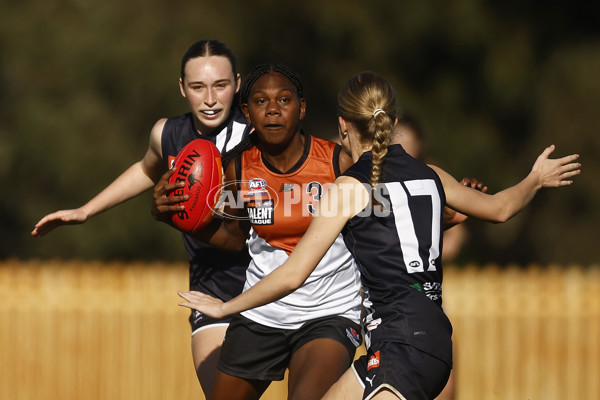 Coates Talent League Girls 2023 - Geelong v Northern Territory - A-39621679