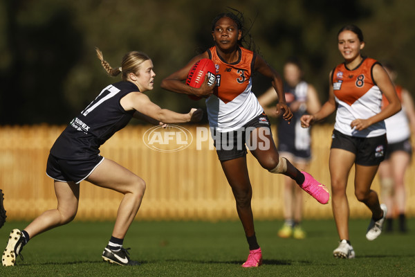 Coates Talent League Girls 2023 - Geelong v Northern Territory - A-39621680