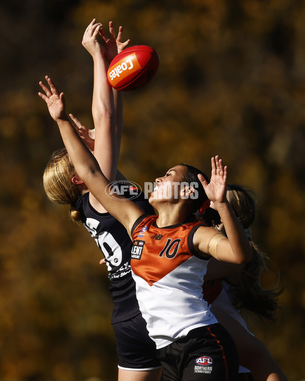 Coates Talent League Girls 2023 - Geelong v Northern Territory - A-39621681