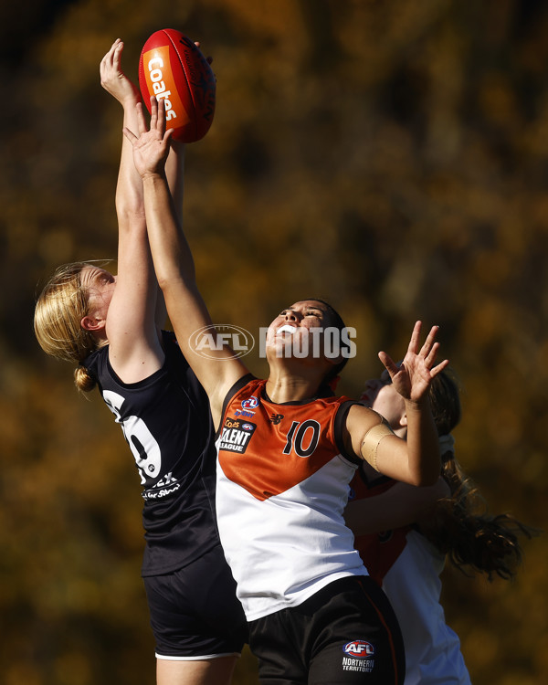 Coates Talent League Girls 2023 - Geelong v Northern Territory - A-39623932