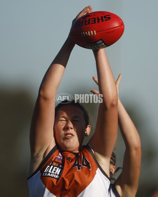 Coates Talent League Girls 2023 - Geelong v Northern Territory - A-39624004