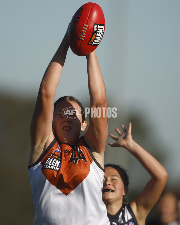 Coates Talent League Girls 2023 - Geelong v Northern Territory - A-39624005