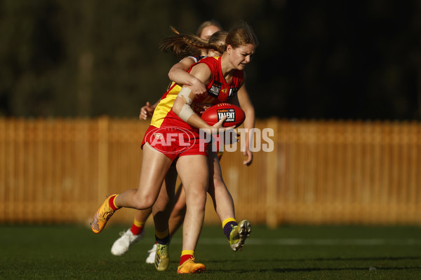 Coates Talent League Boys 2023 - Oakleigh v Gold Coast - A-39628795