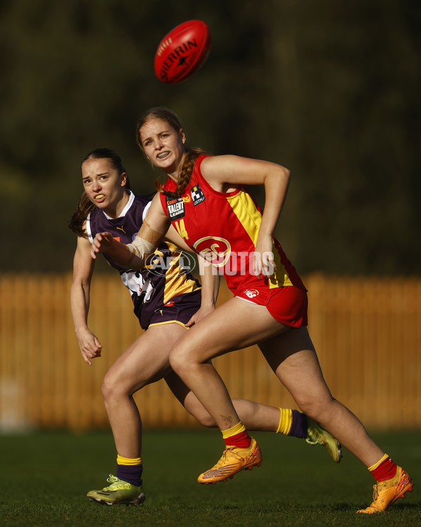 Coates Talent League Boys 2023 - Oakleigh v Gold Coast - A-39629285