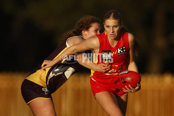 Coates Talent League Boys 2023 - Oakleigh v Gold Coast - A-39643682