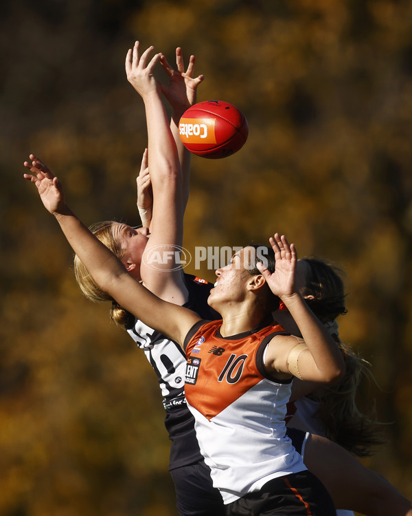 Coates Talent League Girls 2023 - Geelong v Northern Territory - A-39644783