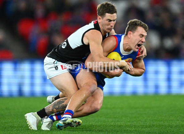 AFL 2023 Round 13 - Western Bulldogs v Port Adelaide - A-39725292