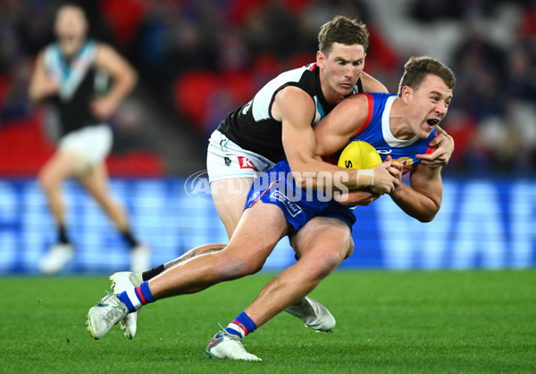 AFL 2023 Round 13 - Western Bulldogs v Port Adelaide - A-39725295