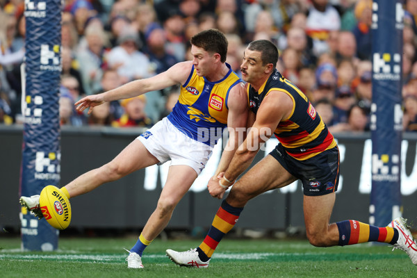 AFL 2023 Round 13 - Adelaide v West Coast - A-39755273