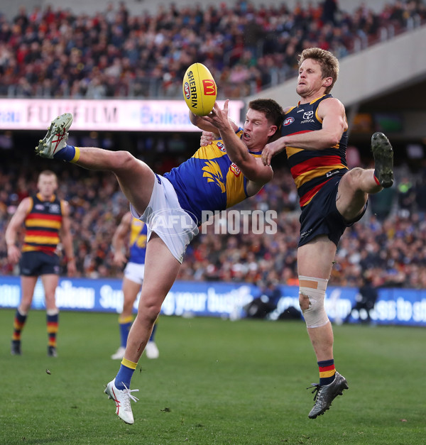 AFL 2023 Round 13 - Adelaide v West Coast - A-39755294