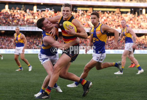 AFL 2023 Round 13 - Adelaide v West Coast - A-39755303
