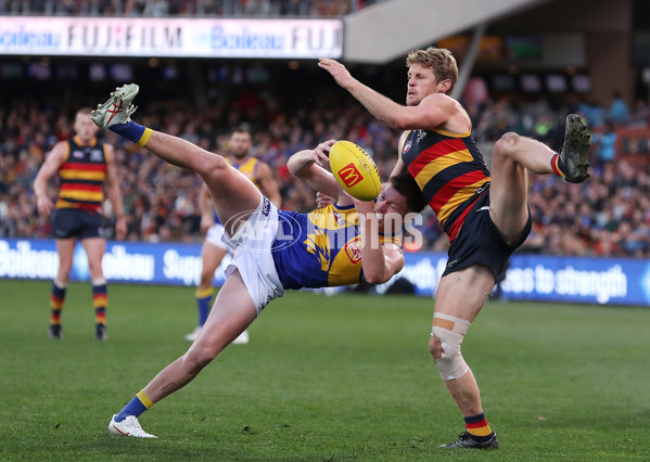 AFL 2023 Round 13 - Adelaide v West Coast - A-39756015