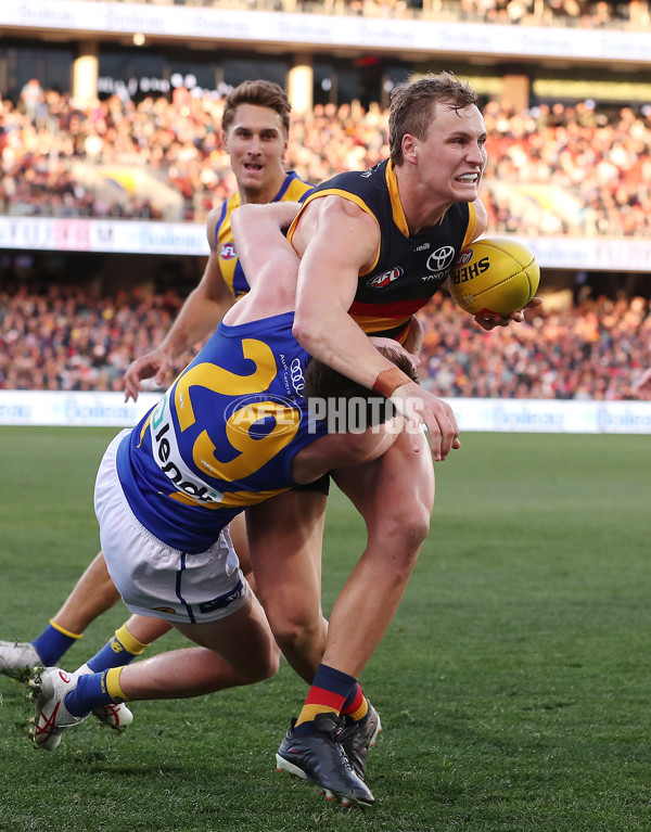 AFL 2023 Round 13 - Adelaide v West Coast - A-39756021