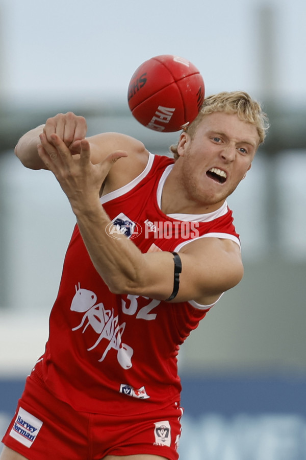 VFL 2023 Round 12 - Williamstown v Northern Bullants - A-39758389