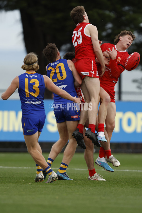 VFL 2023 Round 12 - Williamstown v Northern Bullants - A-39758409