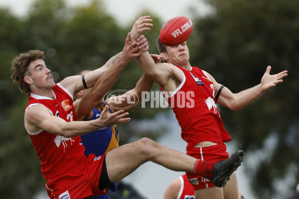 VFL 2023 Round 12 - Williamstown v Northern Bullants - A-39761013