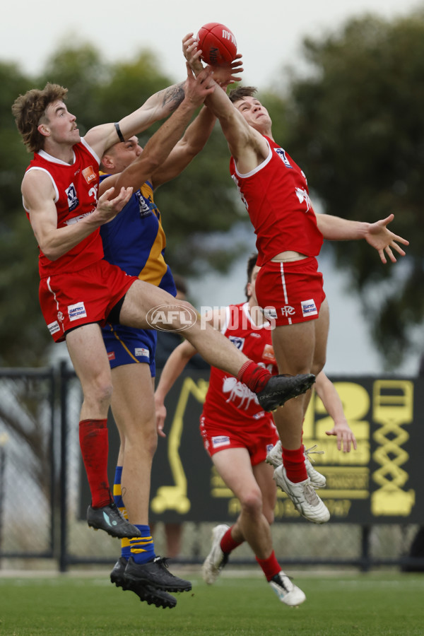 VFL 2023 Round 12 - Williamstown v Northern Bullants - A-39761015