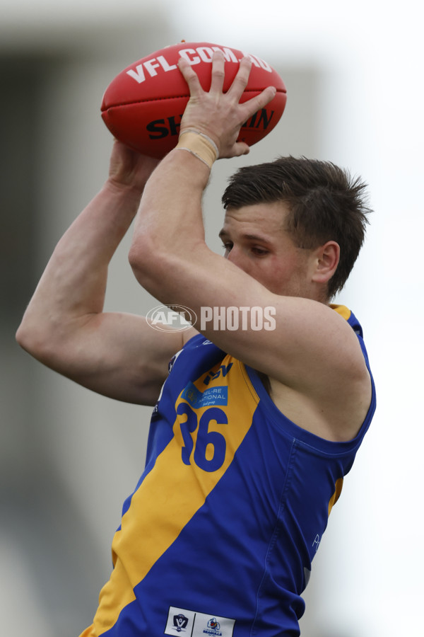 VFL 2023 Round 12 - Williamstown v Northern Bullants - A-39761018