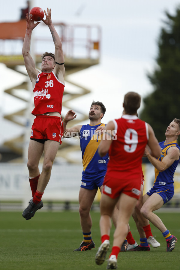 VFL 2023 Round 12 - Williamstown v Northern Bullants - A-39761327