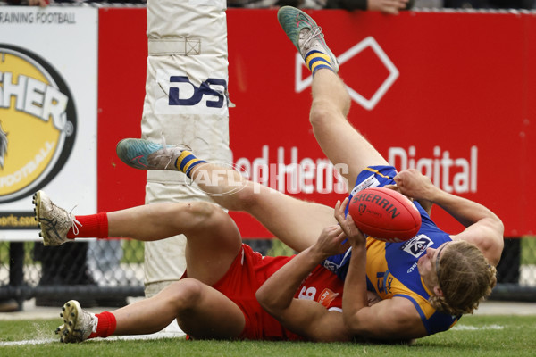 VFL 2023 Round 12 - Williamstown v Northern Bullants - A-39763953