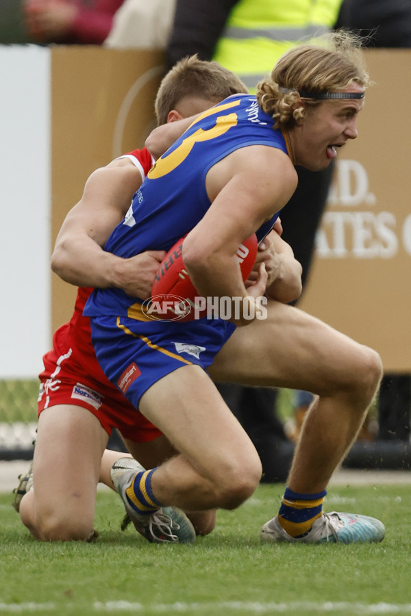 VFL 2023 Round 12 - Williamstown v Northern Bullants - A-39764036