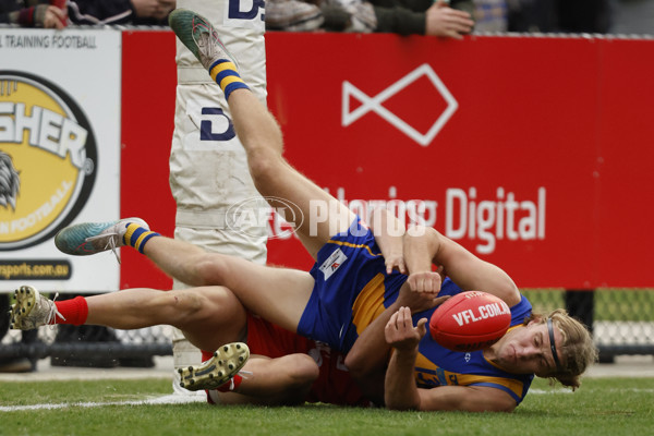 VFL 2023 Round 12 - Williamstown v Northern Bullants - A-39764041