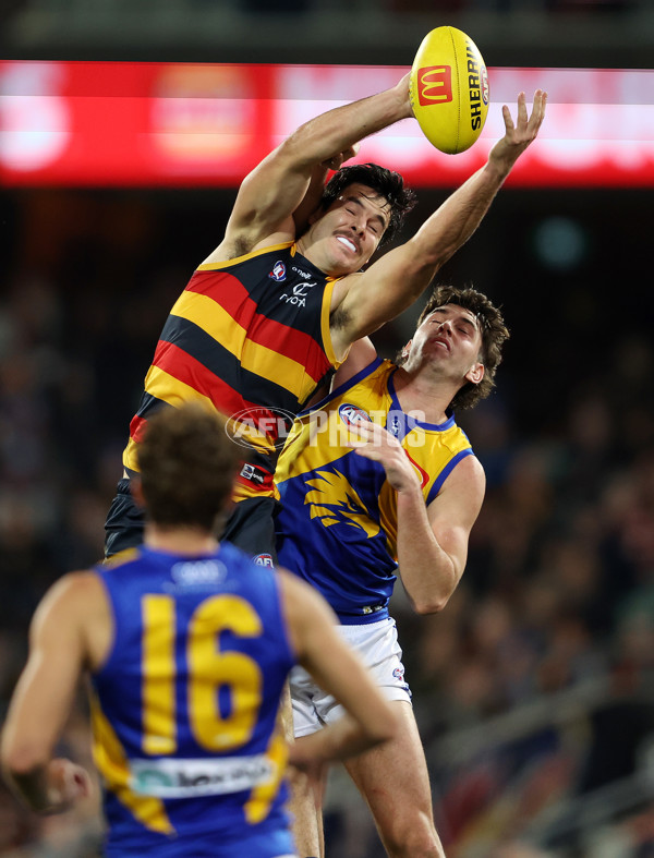 AFL 2023 Round 13 - Adelaide v West Coast - A-39769251