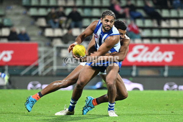 AFL 2023 Round 13 - North Melbourne v GWS - A-39797806