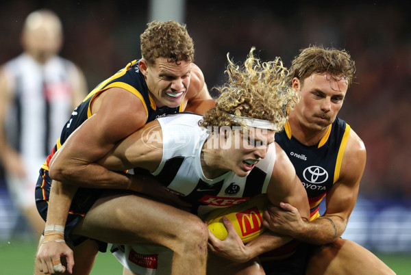 Photographers Choice - AFL 2023 Round 07 - A-39845721