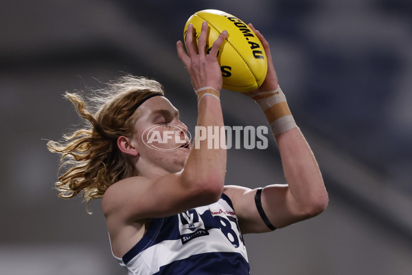 VFL 2023 Round 13 - Geelong v Frankston - A-40068660