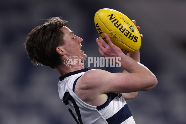 VFL 2023 Round 13 - Geelong v Frankston - A-40068667