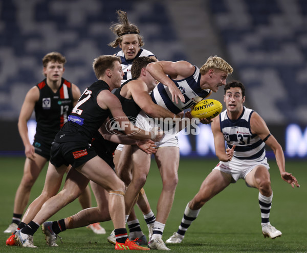 VFL 2023 Round 13 - Geelong v Frankston - A-40071945