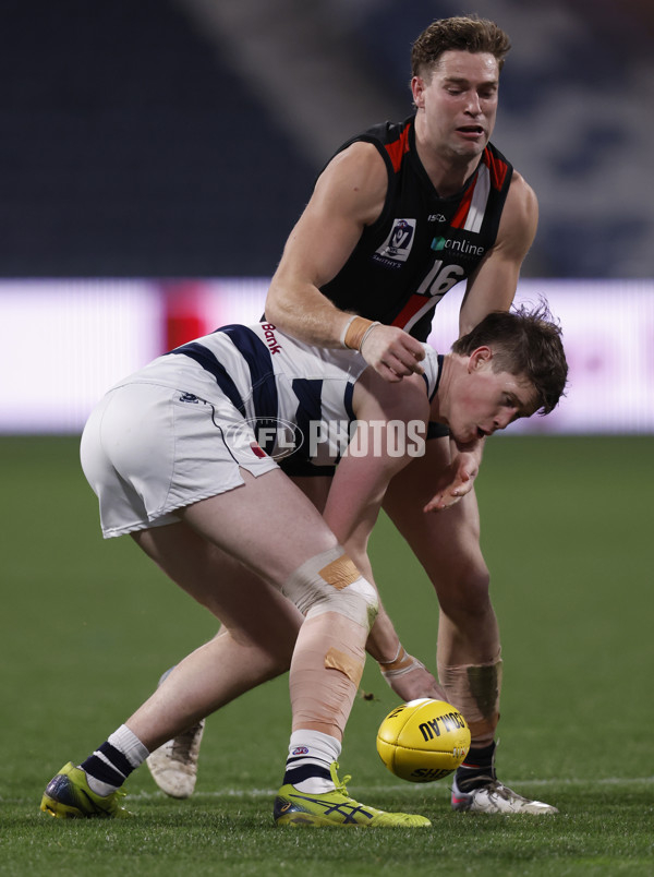 VFL 2023 Round 13 - Geelong v Frankston - A-40073118