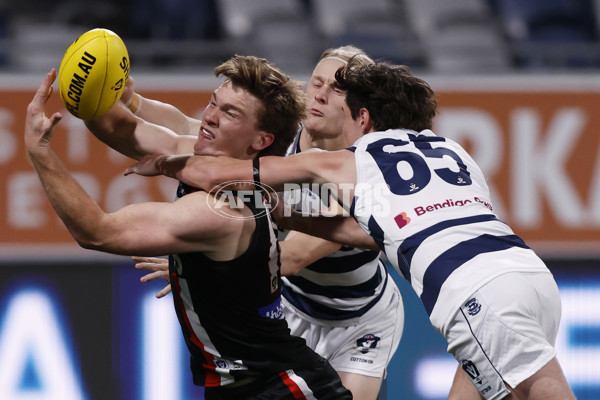 VFL 2023 Round 13 - Geelong v Frankston - A-40076233