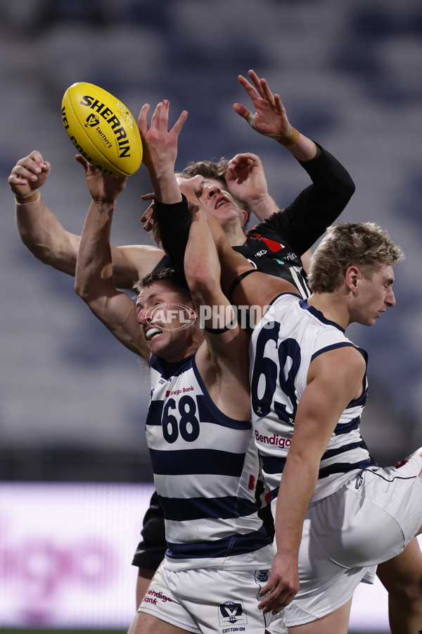 VFL 2023 Round 13 - Geelong v Frankston - A-40079251