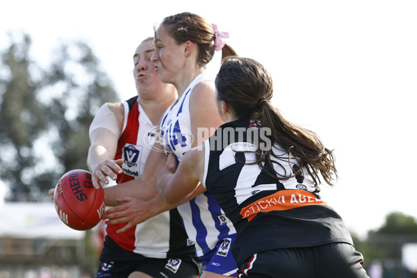 VFLW 2023 Round 12 - North Melbourne v Southern Saints - A-40086125