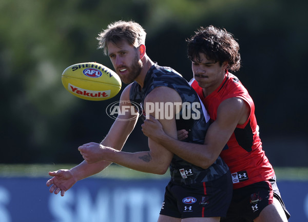 AFL 2023 Training - Essendon 210623 - A-40227296