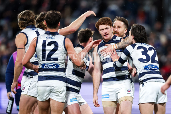 AFL 2023 Round 15 - Geelong v Melbourne - A-40242756