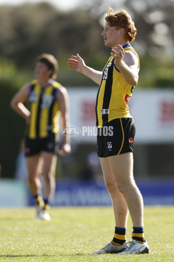 VFL 2023 Round 14 - Sandringham v Brisbane - A-40281903