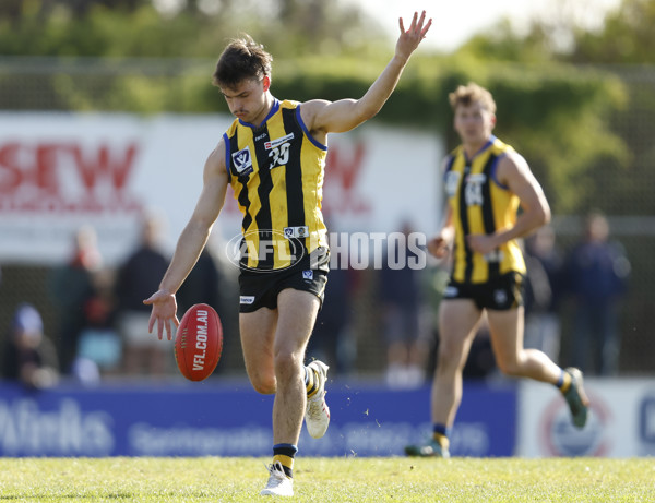 VFL 2023 Round 14 - Sandringham v Brisbane - A-40281906