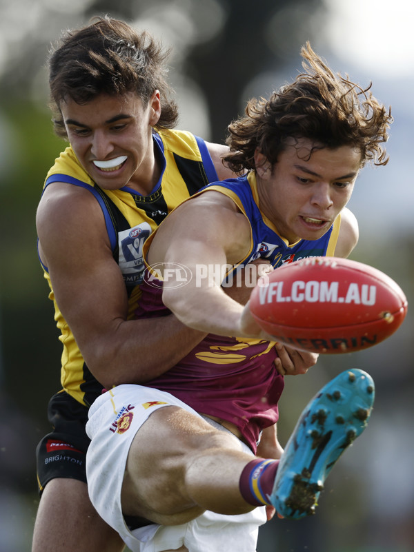 VFL 2023 Round 14 - Sandringham v Brisbane - A-40281918