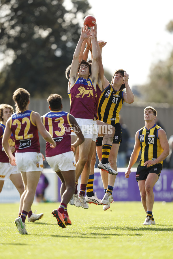 VFL 2023 Round 14 - Sandringham v Brisbane - A-40281924