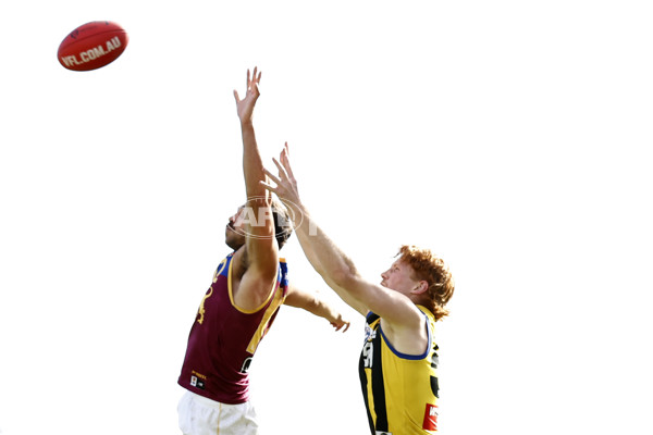 VFL 2023 Round 14 - Sandringham v Brisbane - A-40282448