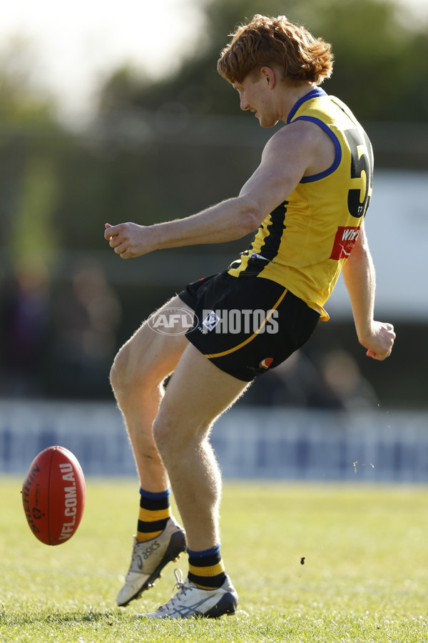 VFL 2023 Round 14 - Sandringham v Brisbane - A-40282503