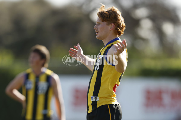 VFL 2023 Round 14 - Sandringham v Brisbane - A-40282504