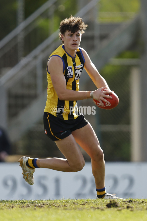 VFL 2023 Round 14 - Sandringham v Brisbane - A-40285376