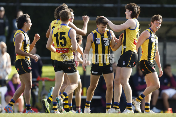 VFL 2023 Round 14 - Sandringham v Brisbane - A-40285380