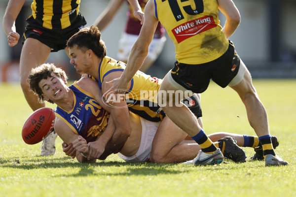 VFL 2023 Round 14 - Sandringham v Brisbane - A-40285398