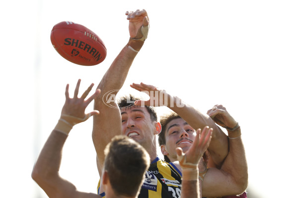 VFL 2023 Round 14 - Sandringham v Brisbane - A-40285786